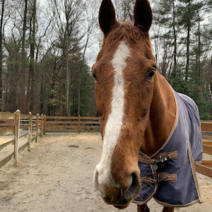 Meet your Posher, Corinne